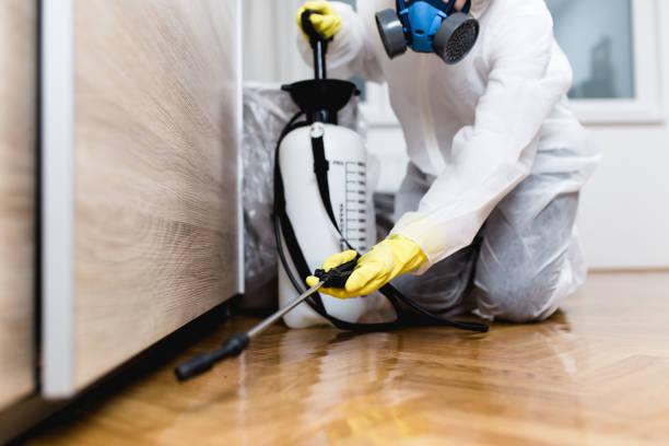 Best Ant Control Services  in Crooks, SD