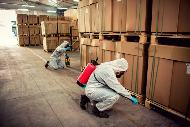 Best Residential Pest Control  in Crooks, SD