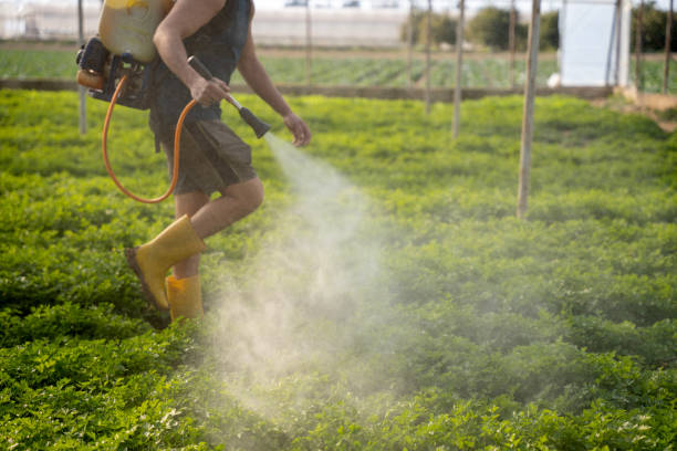 Best Affordable Pest Control Services  in Crooks, SD