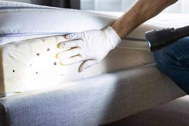 Best Wildlife Control Services  in Crooks, SD
