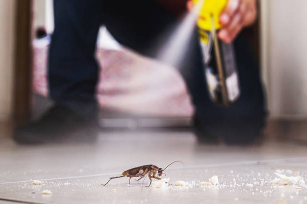 Best Pest Inspection Near Me  in Crooks, SD