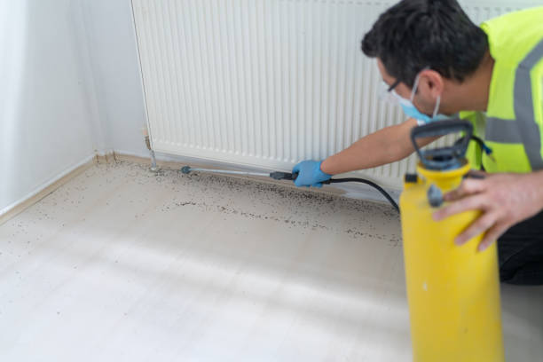 Best Wasp Removal Services  in Crooks, SD