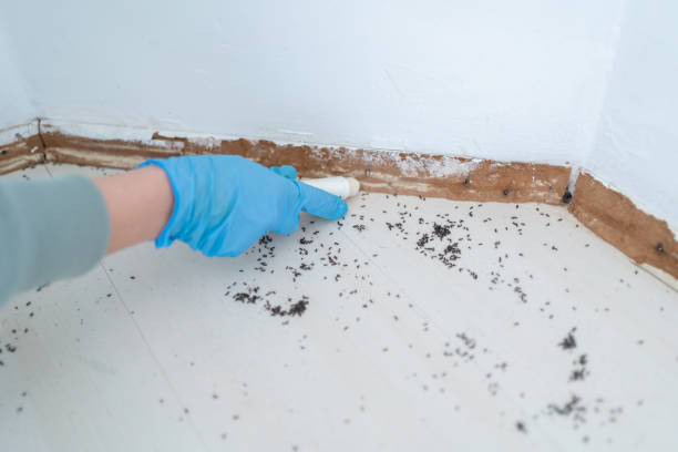 Best Pest Inspection Near Me  in Crooks, SD