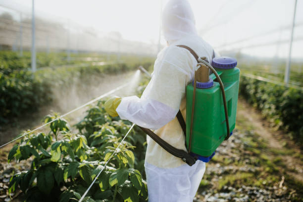 Best Mosquito Control Services  in Crooks, SD